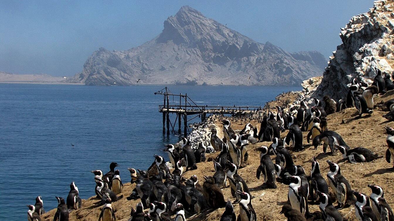 Photo: J Kemper. View from Mercury Island towards Spencer Bay and Otavi