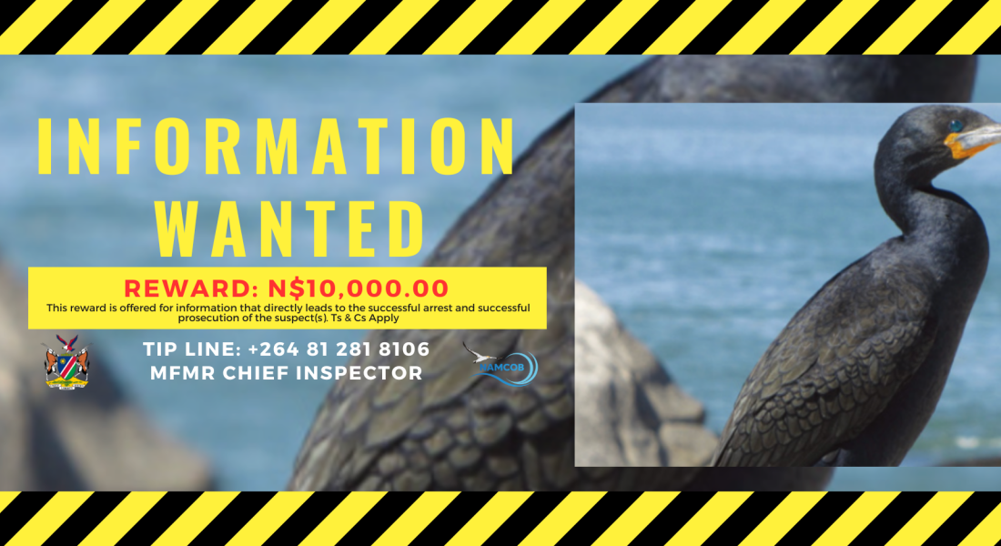 Information Wanted: Cape Cormorant Massacre Information Wanted: Cape Cormorant Massacre