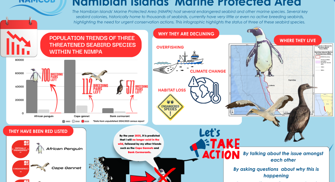 The Status of Threatened Seabirds within the Namibian Islands’ Marine Protected Area (NIMPA) Infographic
