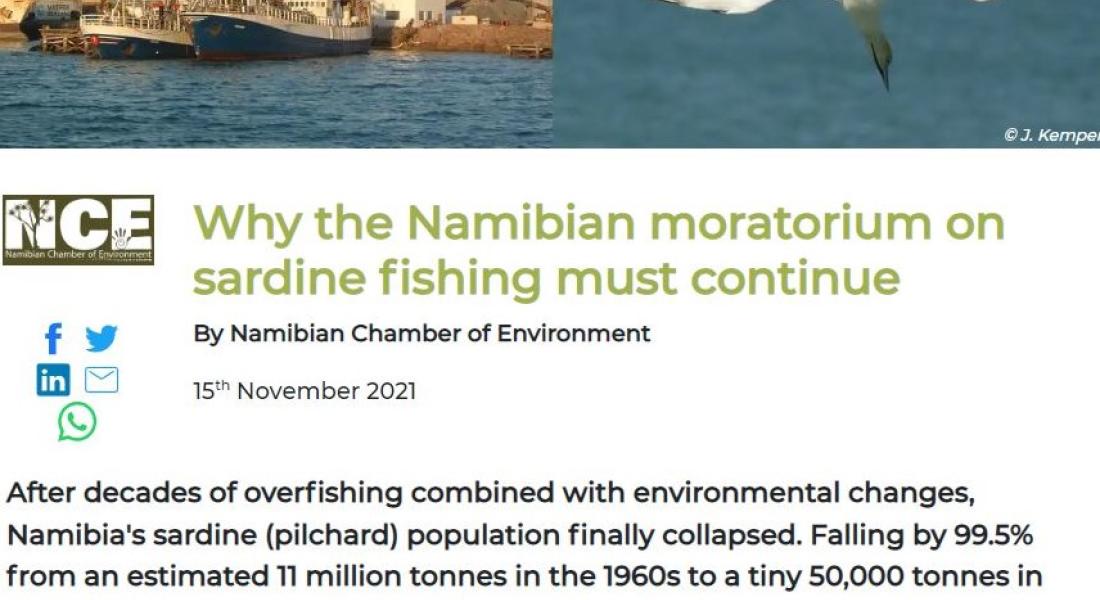 Why the Namibian moratorium on sardine fishing must continue