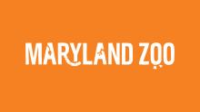 The Maryland Zoo in Baltimore logo