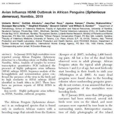 Avian Influenza H5N8 Outbreak in African Penguins