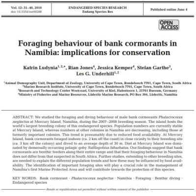 Foraging behaviour of bank cormorants in Namibia