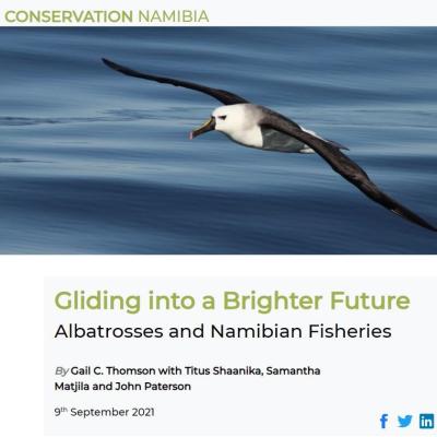Gliding into a Brighter Future Gliding into a Brighter Future